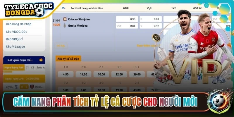 Cẩm nang phân tích tỷ lệ cá cược dành cho người mới