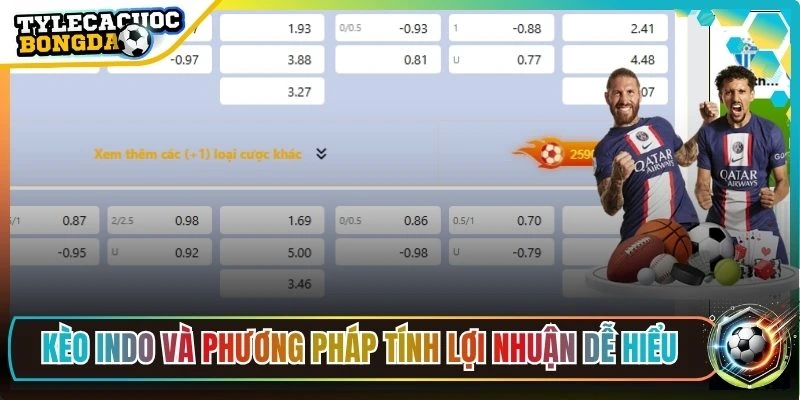 Kèo Indo và cách tính lợi nhuận dễ hiểu